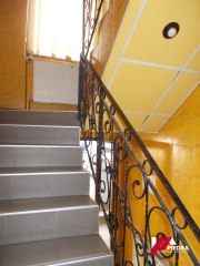 DSCN6520