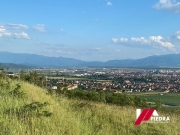 IMG-20240723-WA0001