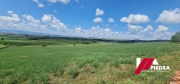 IMG-20240803-WA0001