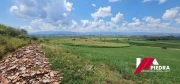 IMG-20240803-WA0002