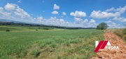 IMG-20240803-WA0003