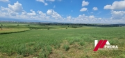 IMG-20240803-WA0004