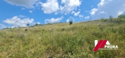IMG-20240803-WA0005