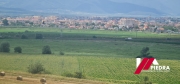 IMG-20240803-WA0006