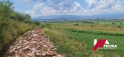 IMG-20240803-WA0007