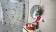 IMG-20251008-WA0091