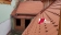 IMG-20260319-WA0064