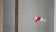 1000039249