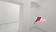 1000039527