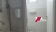 1000307259