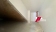 1000316317